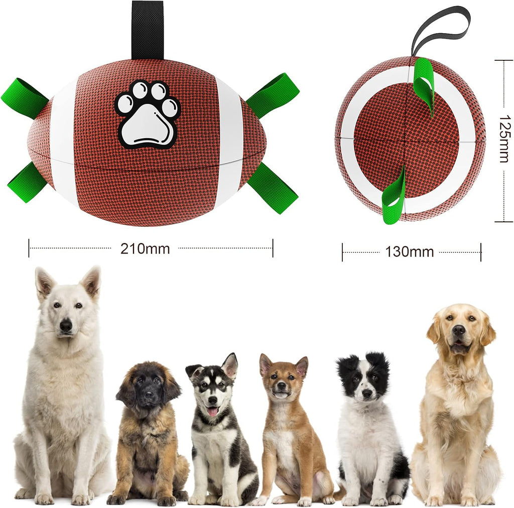 HETOO Interactive Dog Football Toys with Grab | PetNestUK