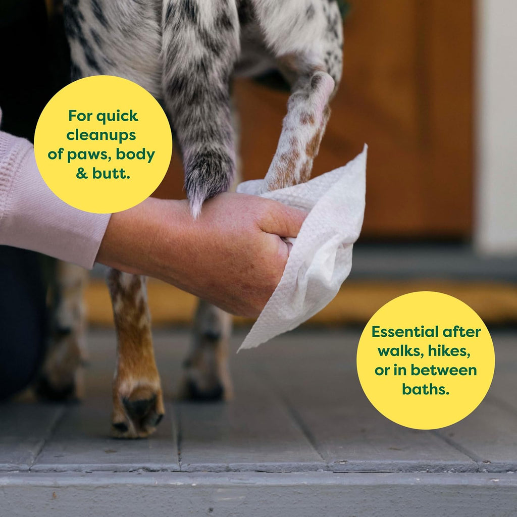 Earth Rated Hypoallergenic Dog Wipes, Cleaning | PetNestUK