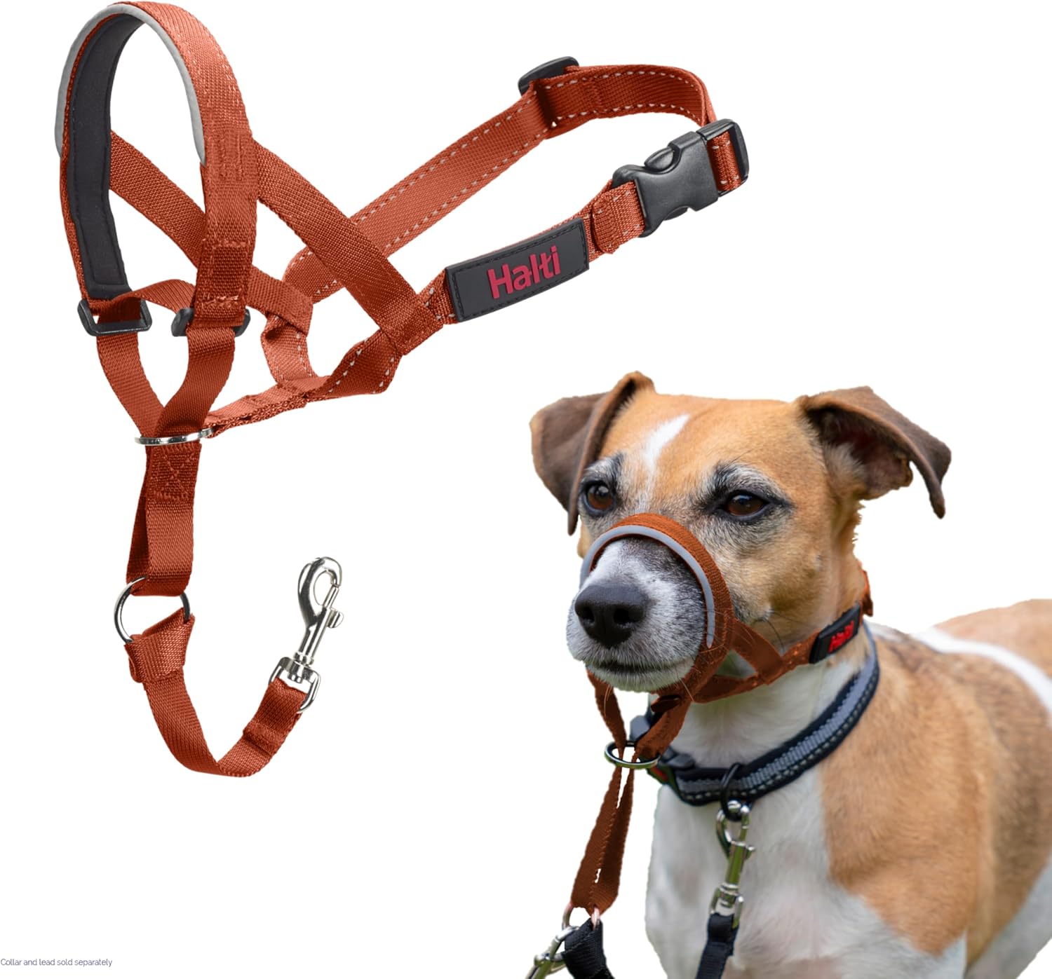 HALTI Headcollar, UK Bestselling Harness to Stop | PetNestUK