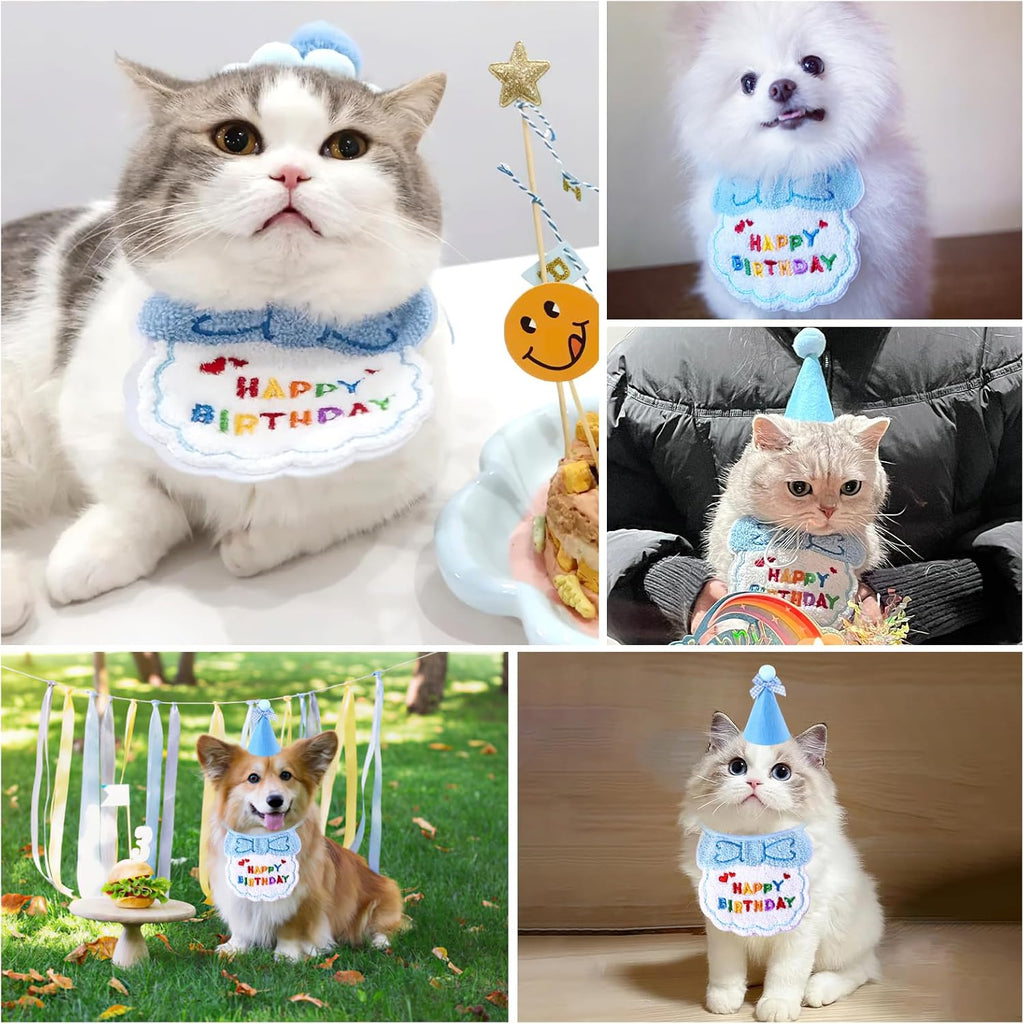 Small Dog Cat Birthday Hat Scarf Set,Cute Cat | PetNestUK