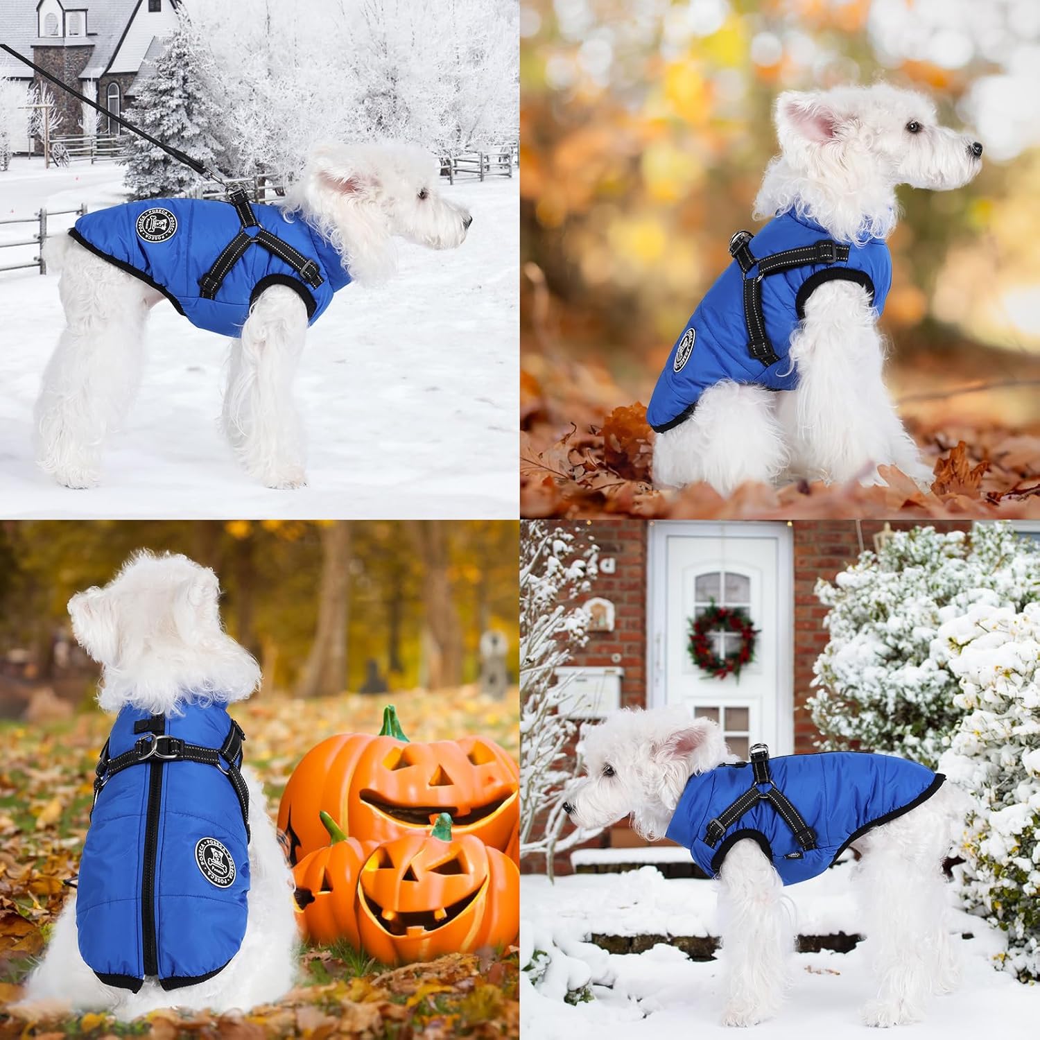 Poseca Dog Clothes for Small Dogs Dog Coat | PetNestUK