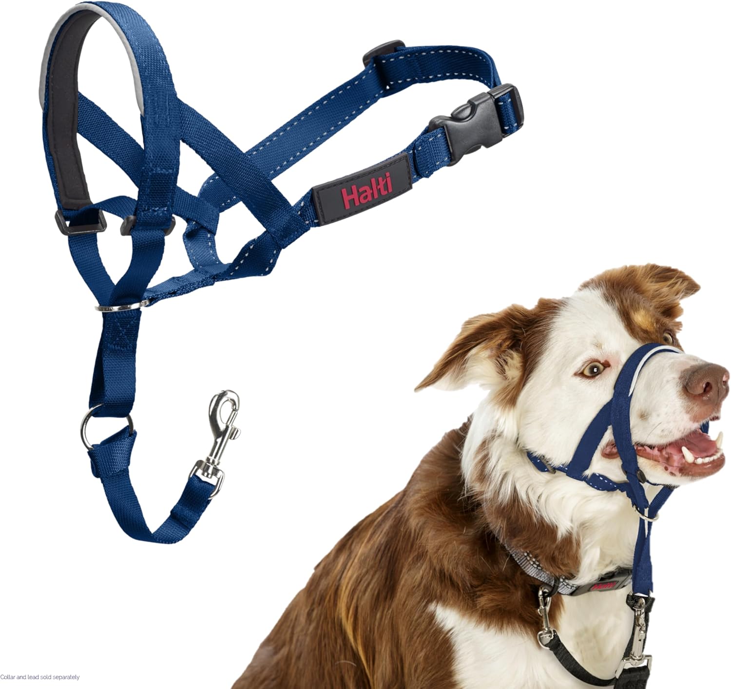 HALTI Headcollar, UK Bestselling Harness to Stop | PetNestUK