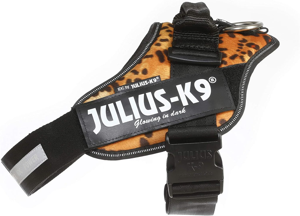 Julius-K9 IDC Powerharness for Small Dogs