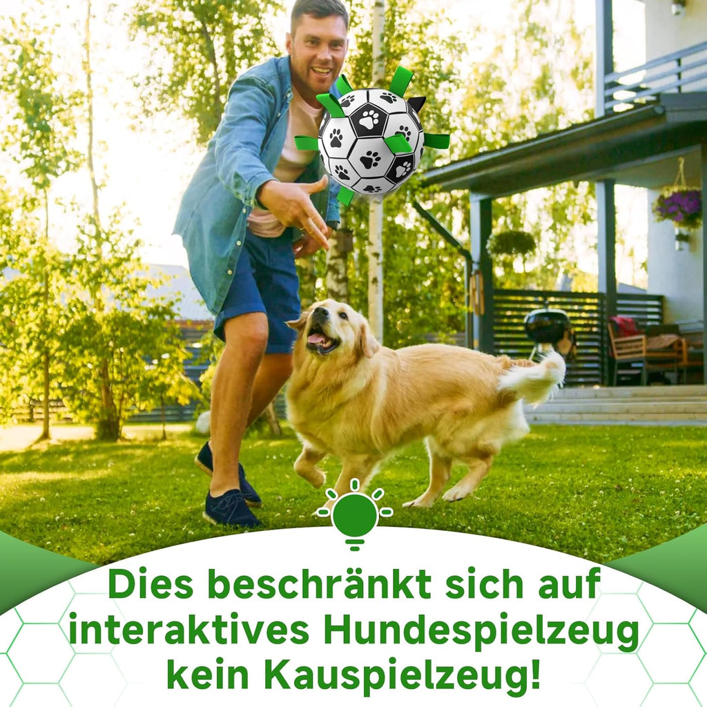 HETOO Dog Football with Grab Tabs