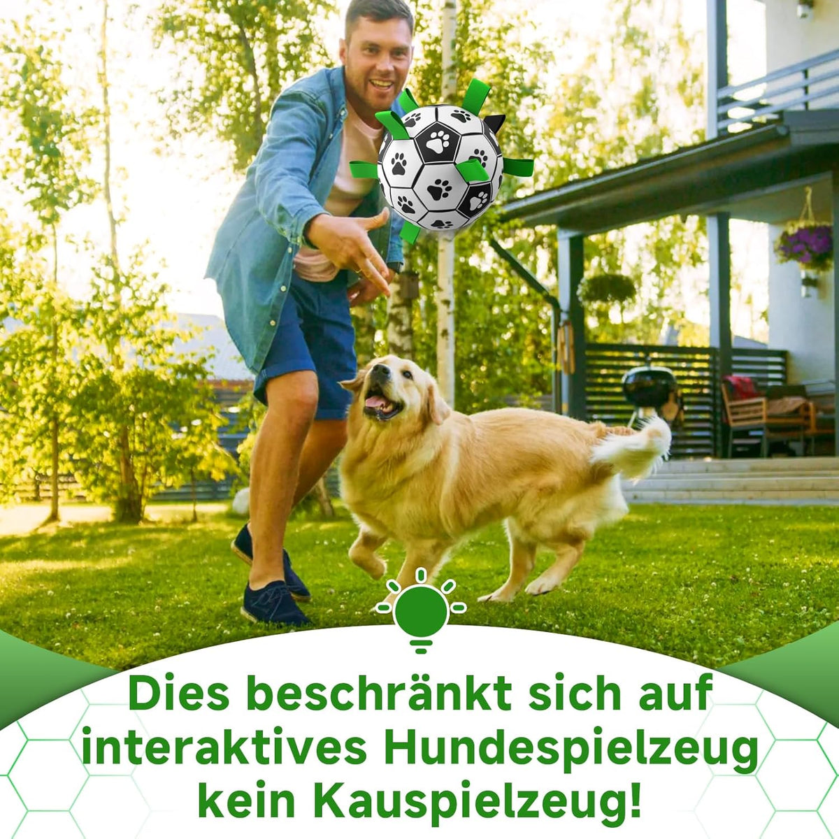 HETOO Dog Football with Grab Tabs
