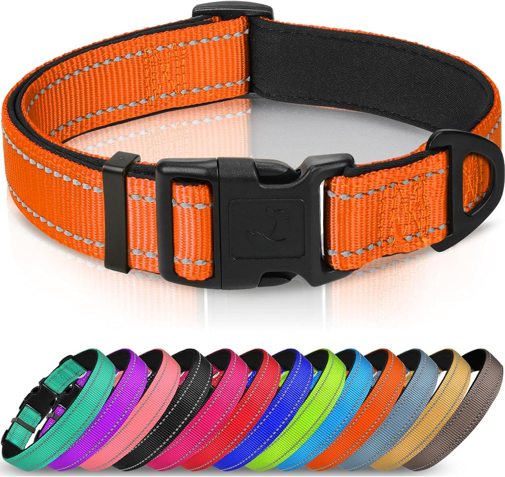 Joytale Reflective Dog Collar with Neoprene Padding