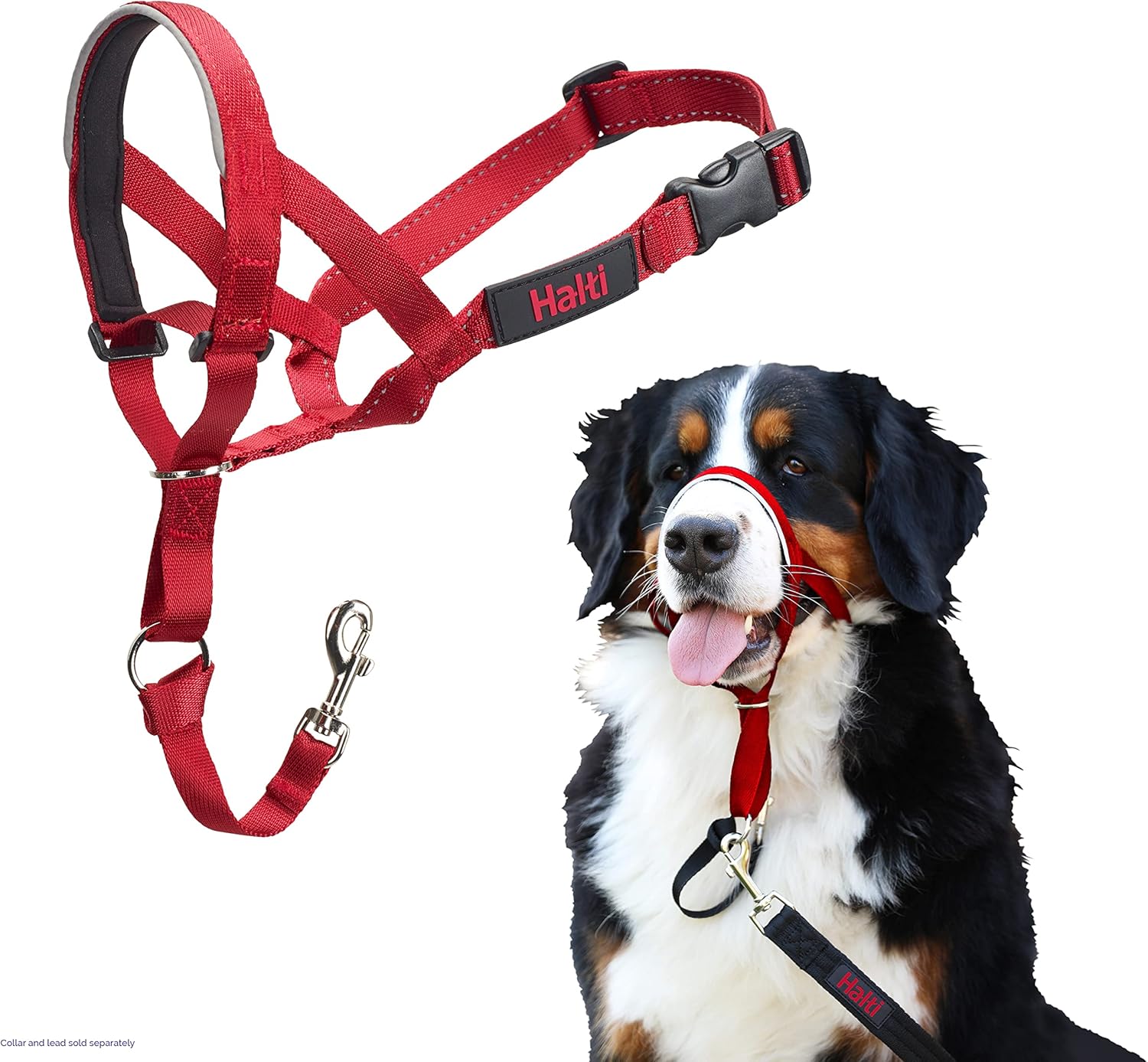 HALTI Headcollar, UK Bestselling Harness to Stop | PetNestUK