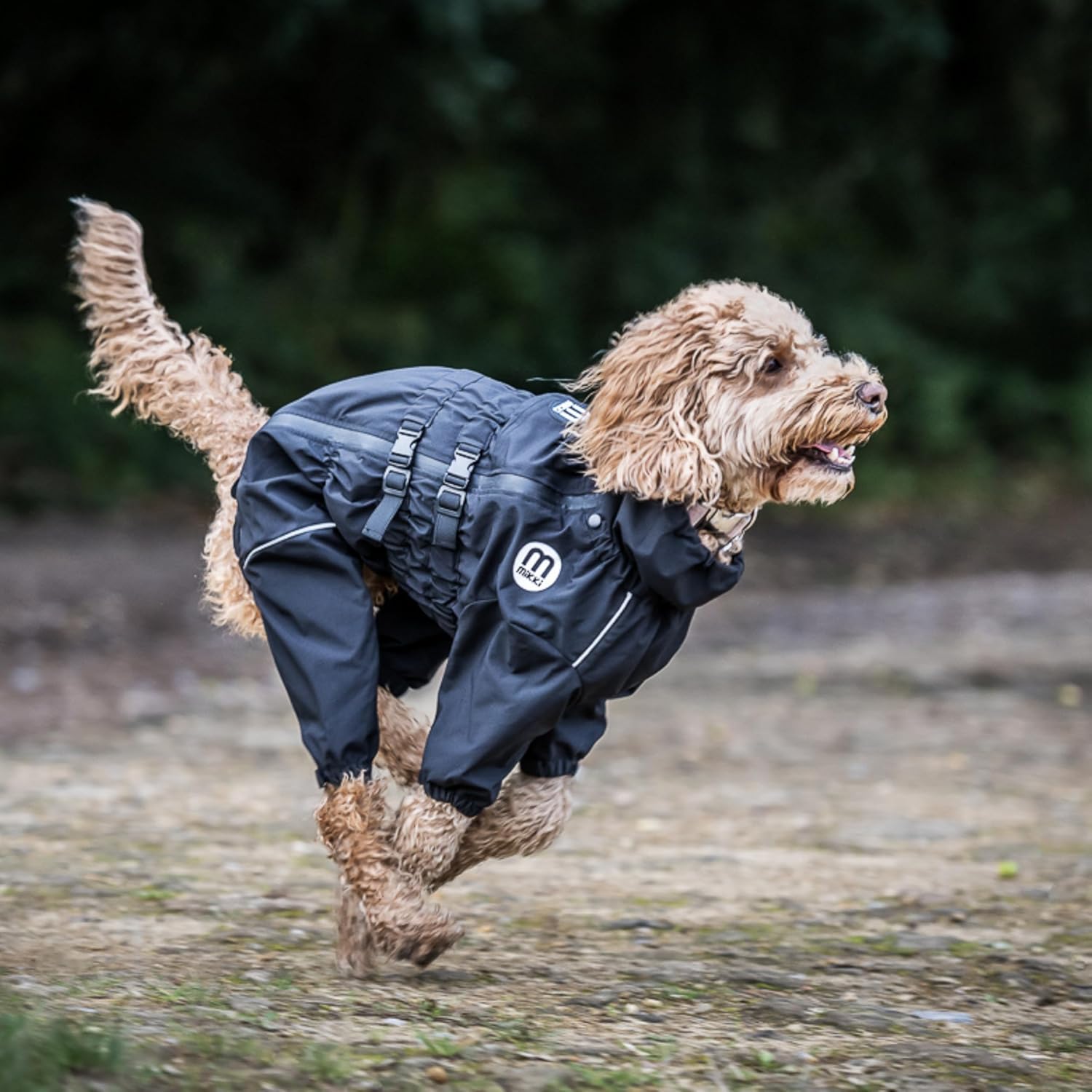 Mikki Doodles Dog Raincoat, Waterproof, | PetNestUK