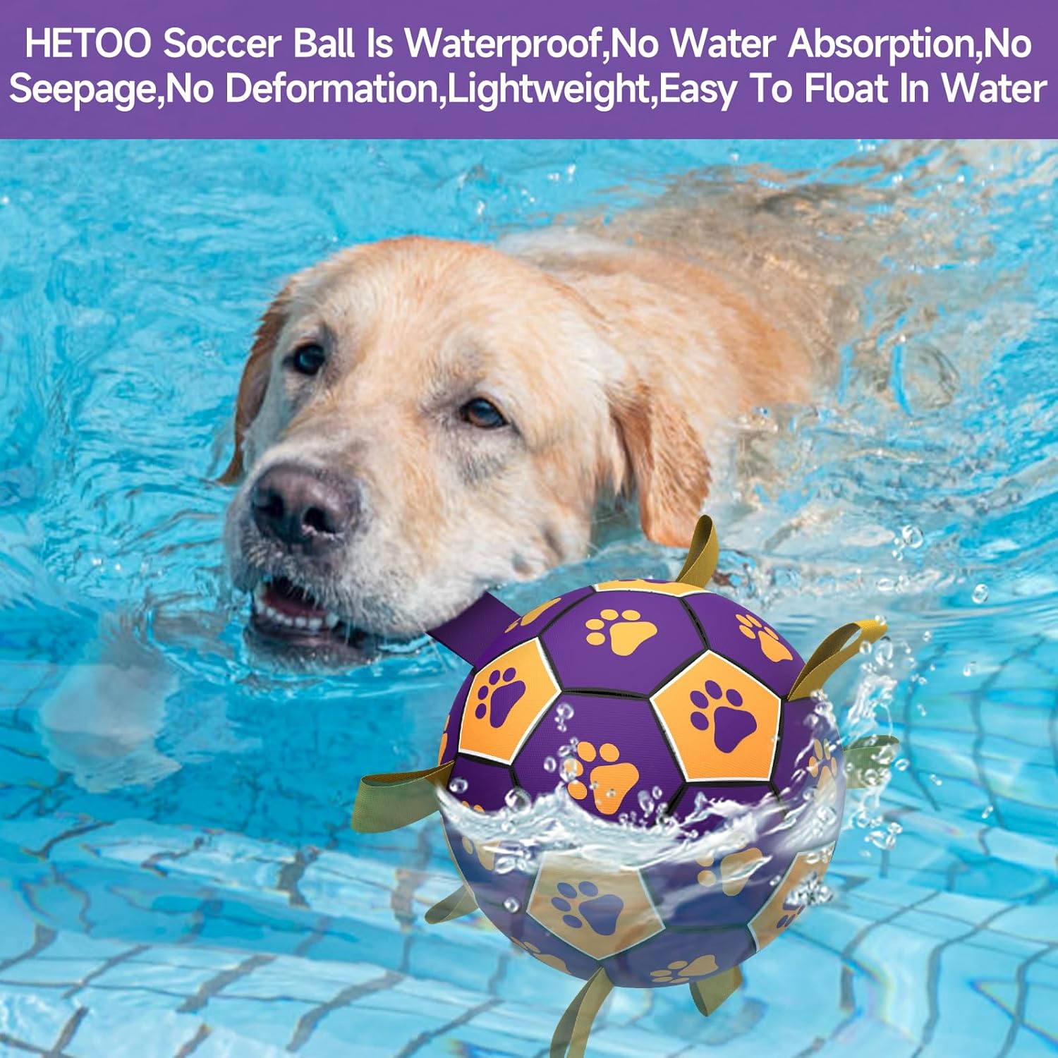 HETOO Interactive Dog Football Toys with Grab | PetNestUK