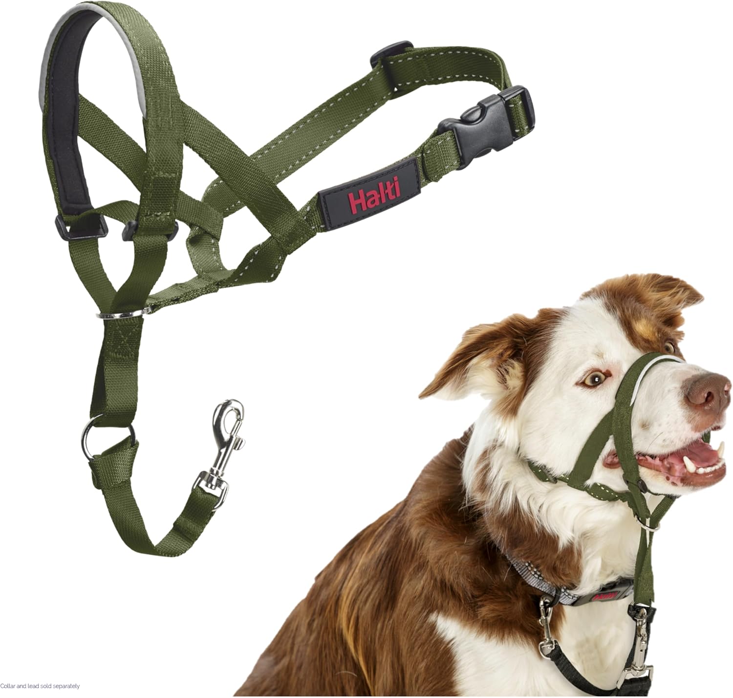 HALTI Headcollar, UK Bestselling Harness to Stop | PetNestUK