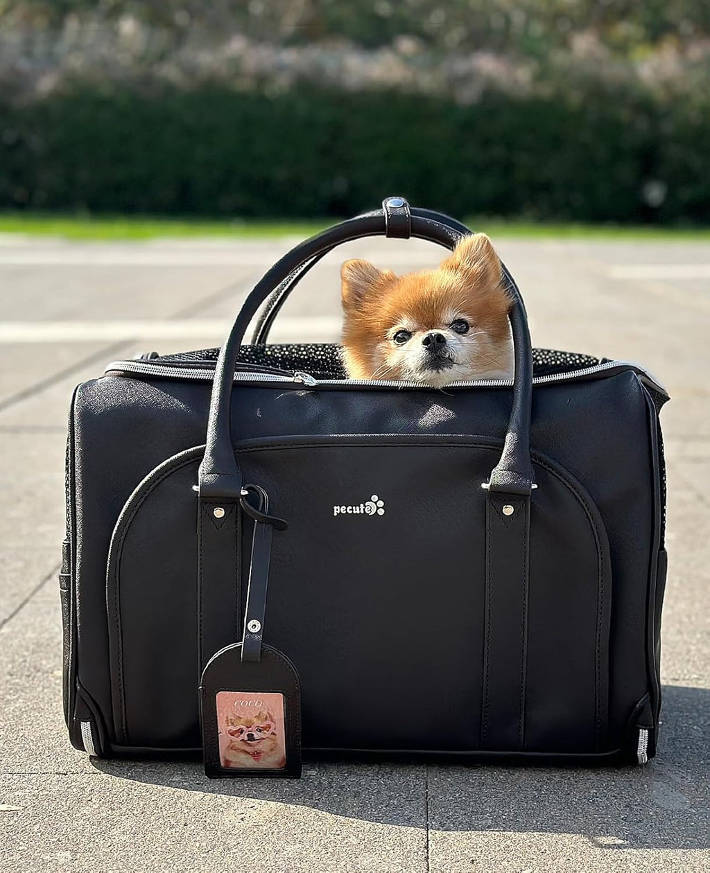 pecute® Cat Carrier, Elegant PU Material Cat | PetNestUK