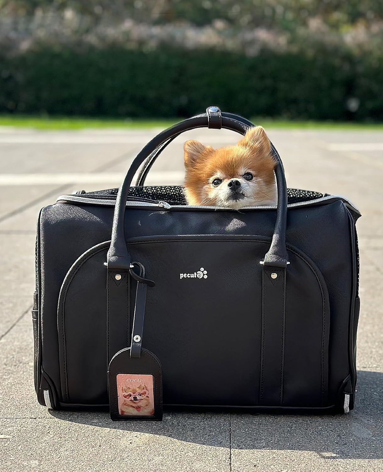 pecute® Cat Carrier, Elegant PU Material Cat | PetNestUK