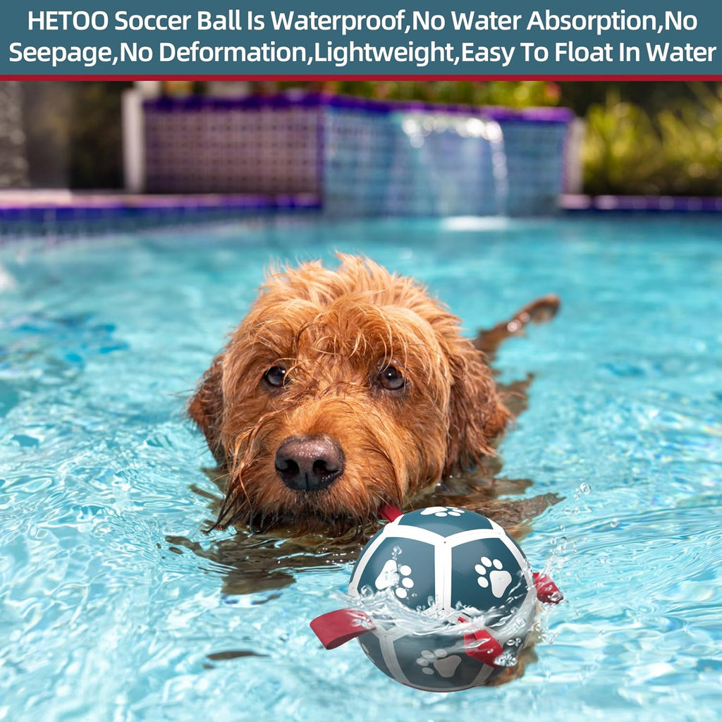 HETOO Dog Football with Grab Tabs