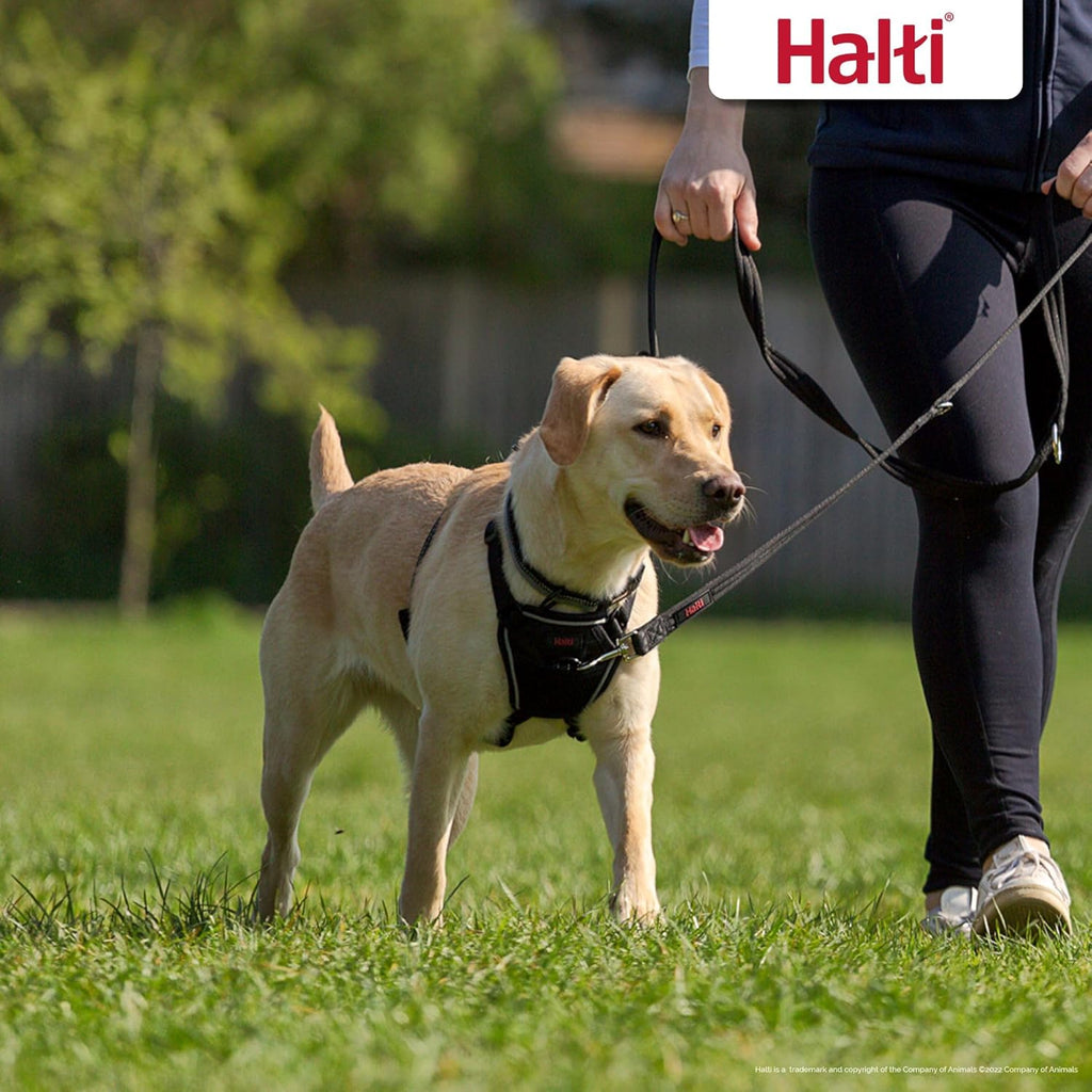 HALTI No Pull Harness Size Medium, Professional | PetNestUK