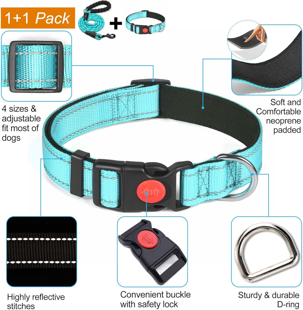 haapaw Reflective Dog Collar Padded with Soft | PetNestUK