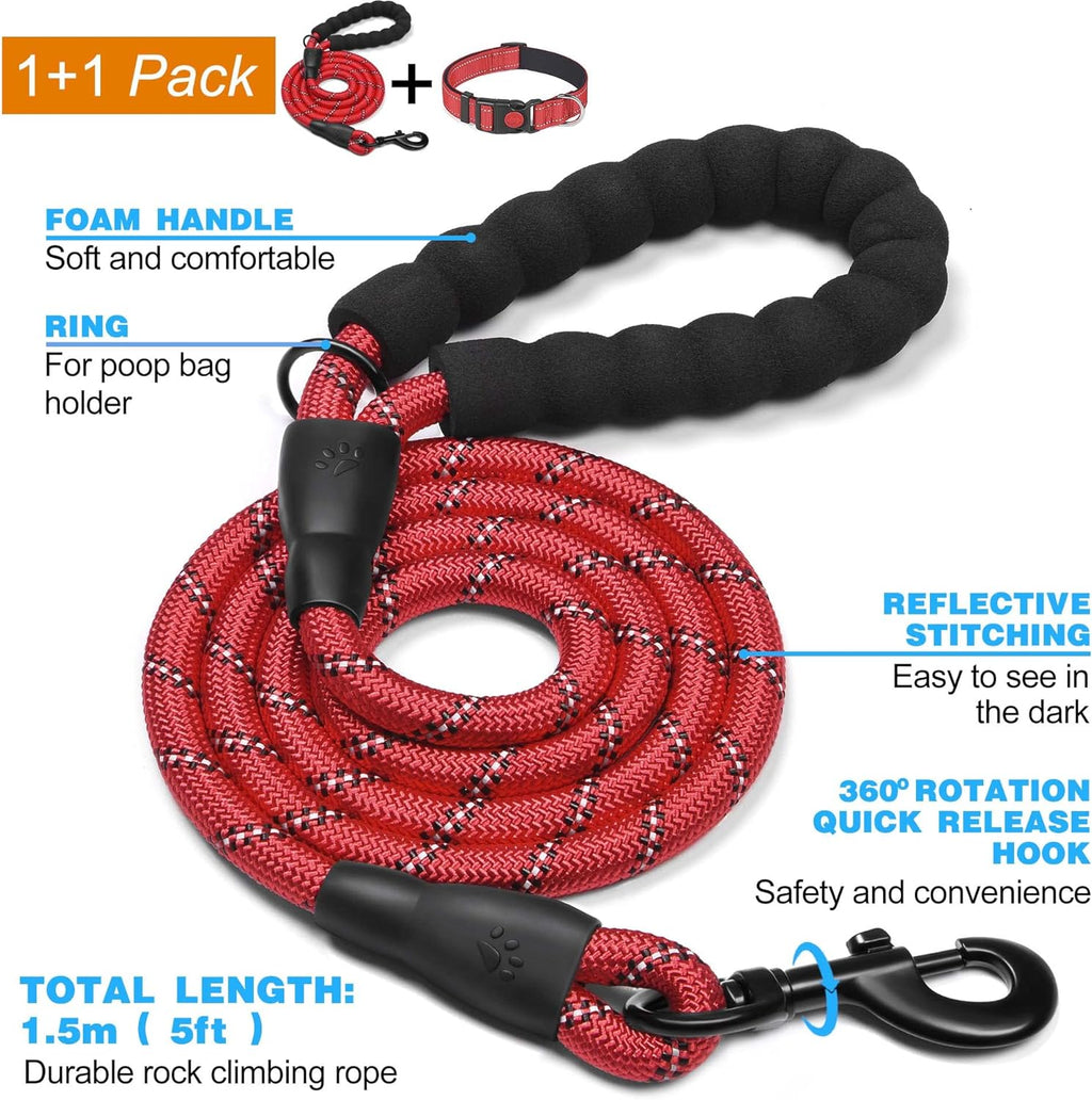 haapaw Reflective Dog Collar Padded with Soft | PetNestUK