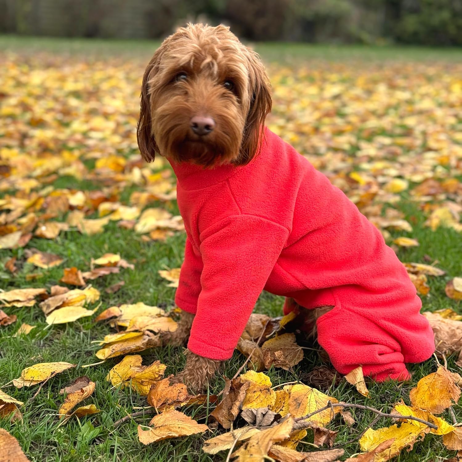 Warm Four-Legged Dog Fleece | PetNestUK