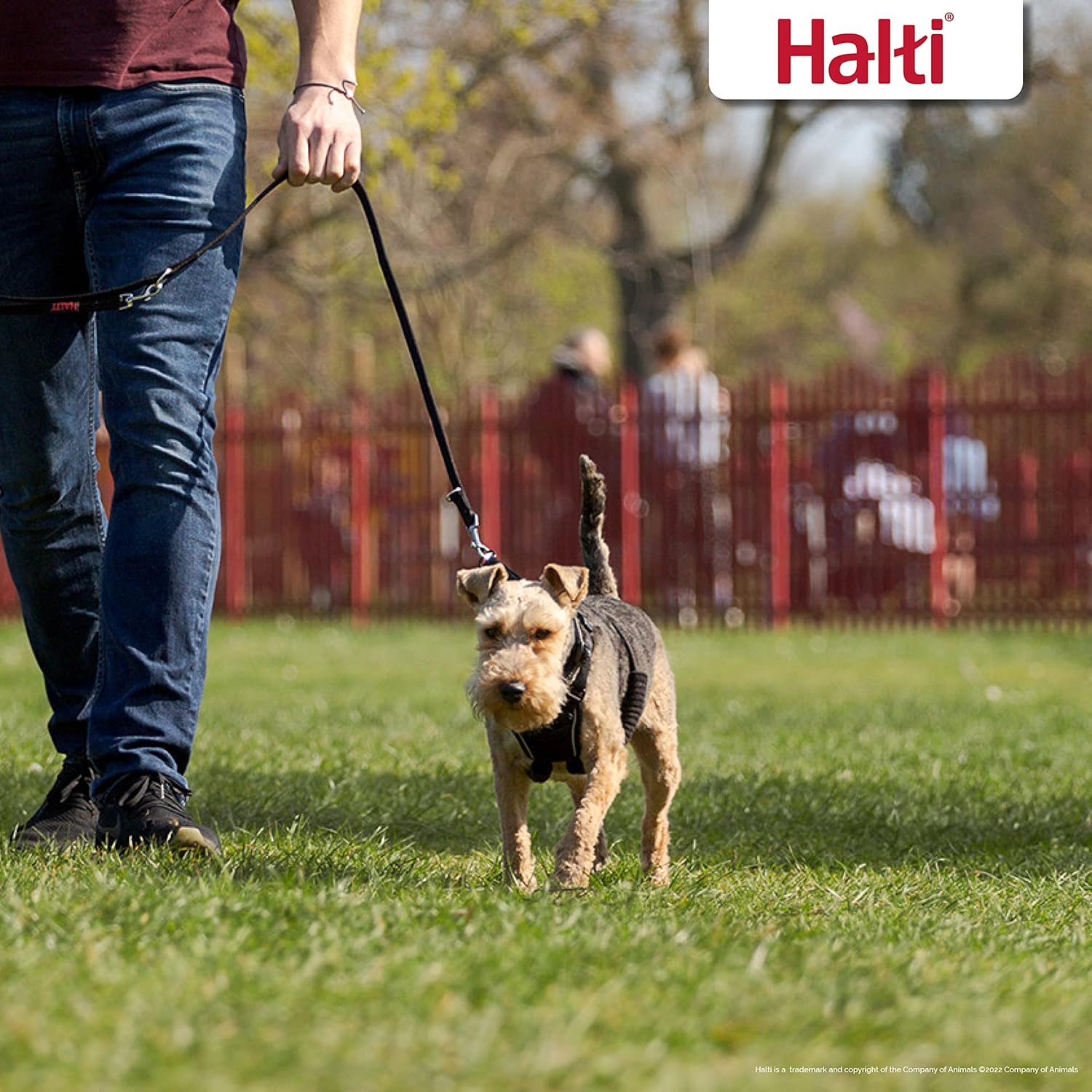 HALTI No Pull Harness Size Medium, Professional | PetNestUK