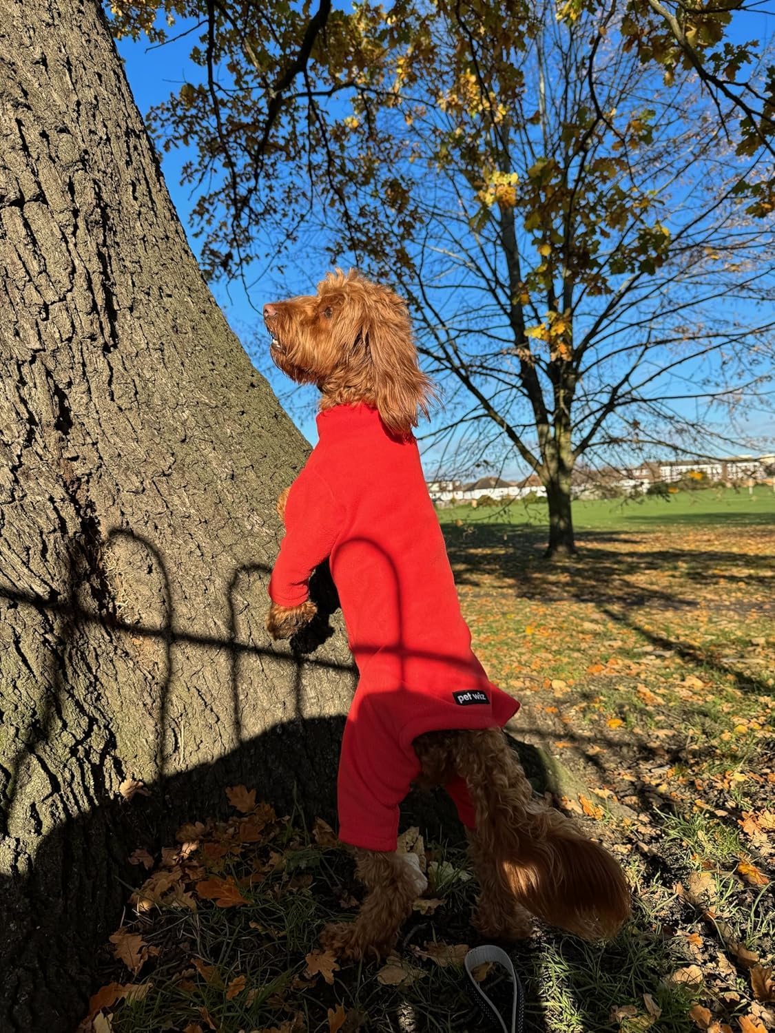 Warm Four-Legged Dog Fleece | PetNestUK