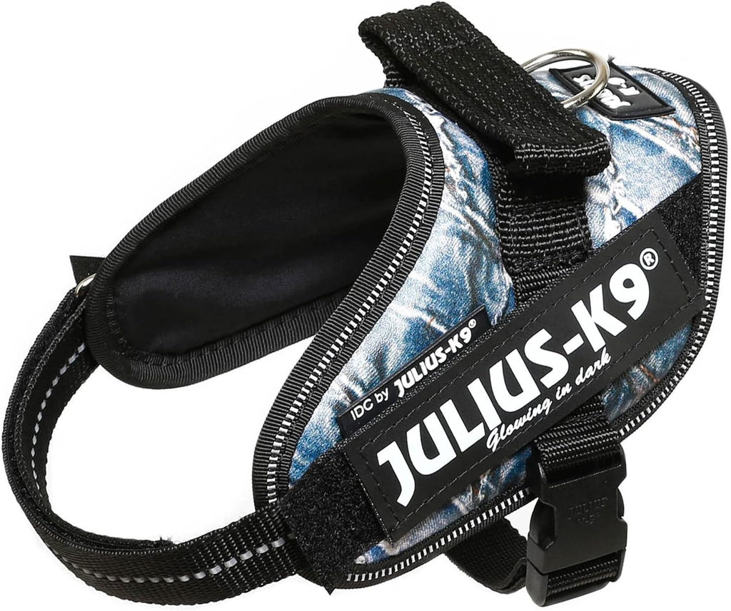 Julius-K9 IDC Powerharness for Small Dogs