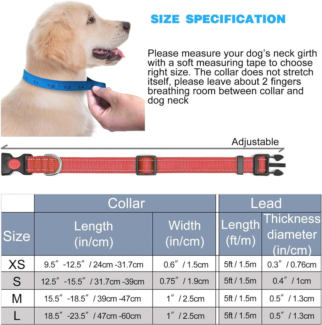 haapaw Reflective Dog Collar Padded with Soft | PetNestUK