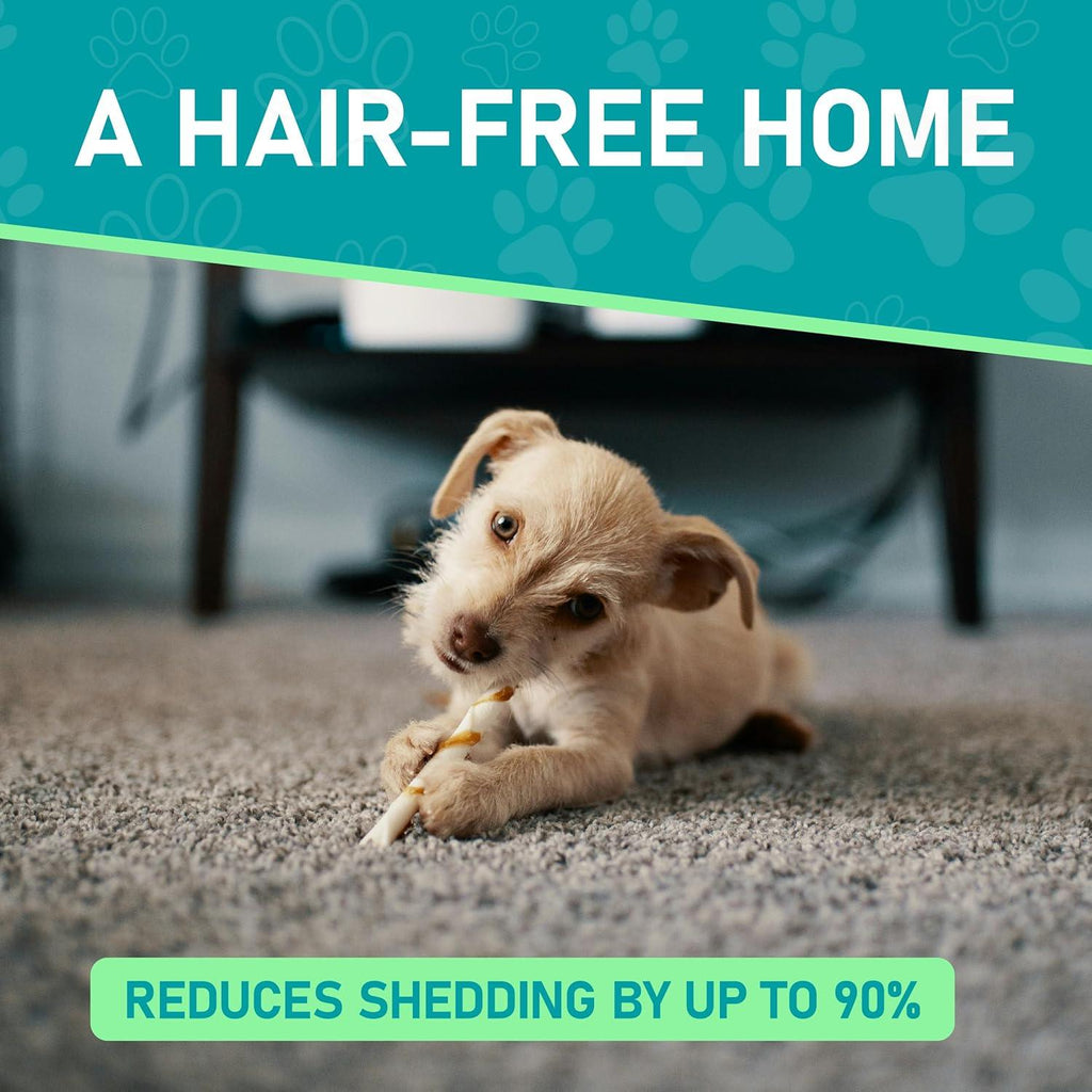 Maxpower Planet Dog Brush | PetNestUK