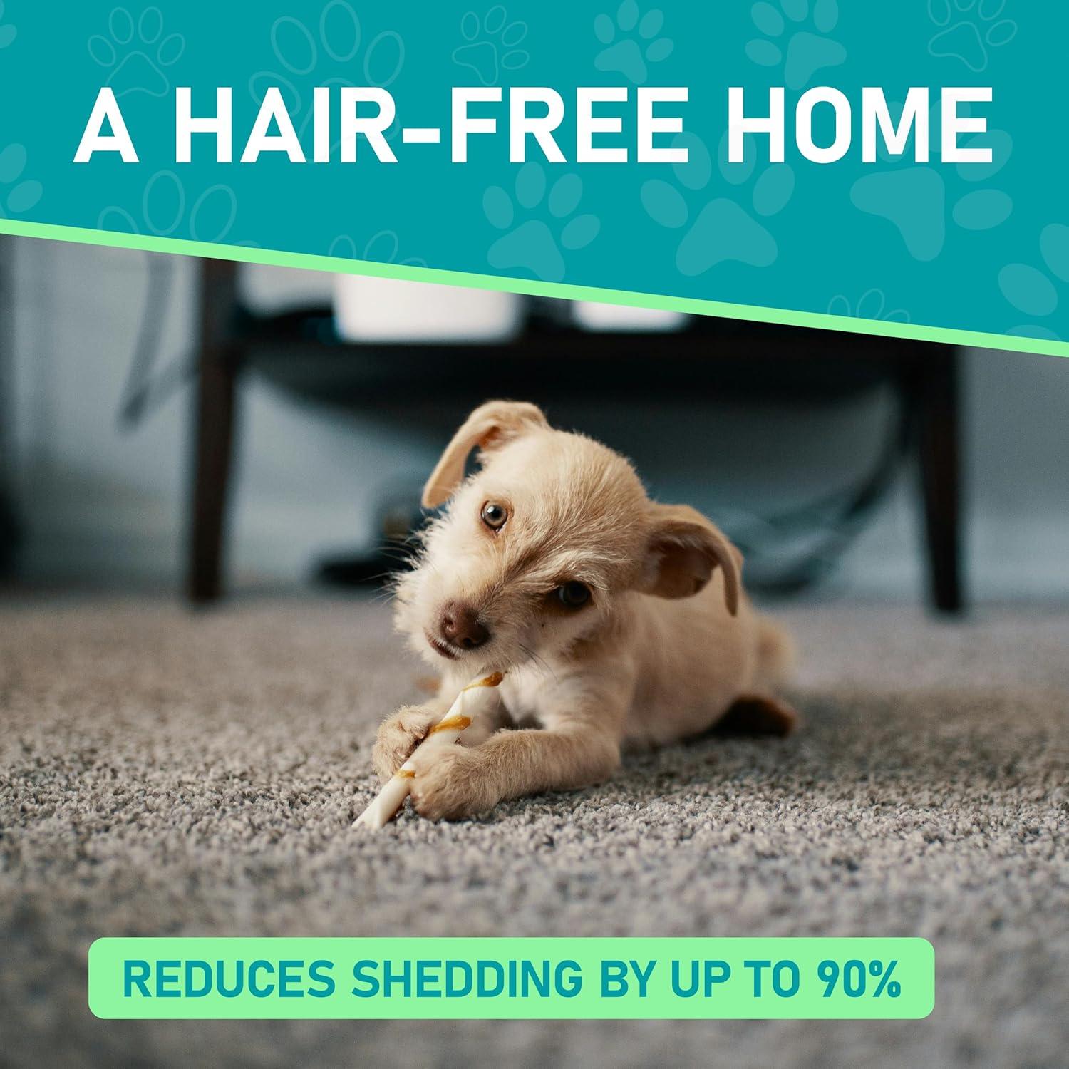 Maxpower Planet Dog Brush | PetNestUK