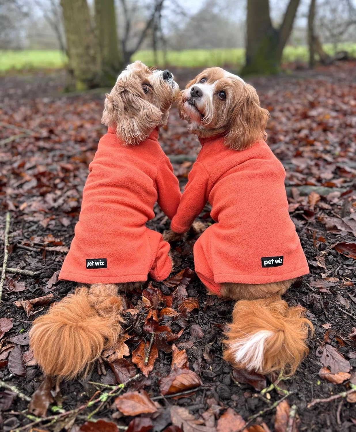 Warm Four-Legged Dog Fleece | PetNestUK