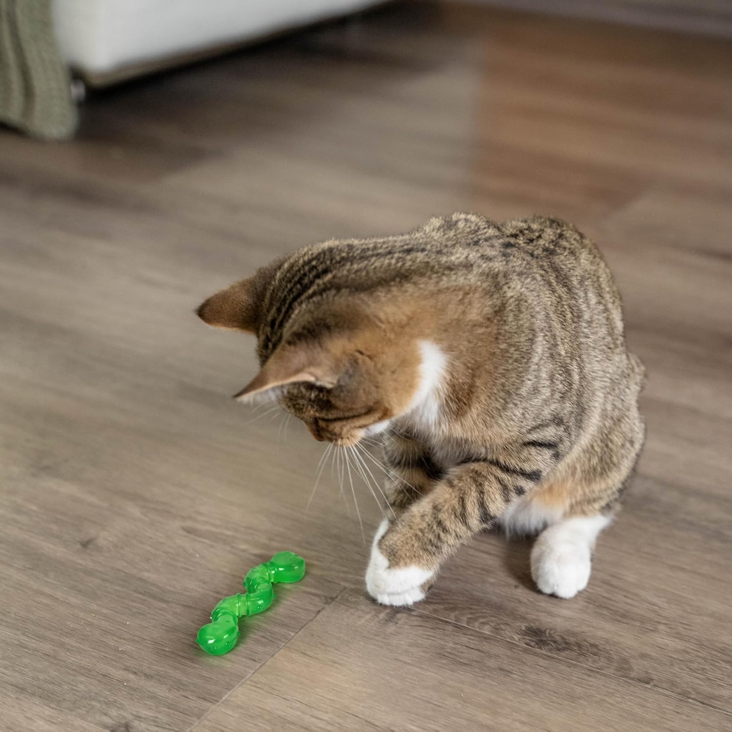 Catstages Orkakat Wiggle Worm Dental Catnip Cat | PetNestUK