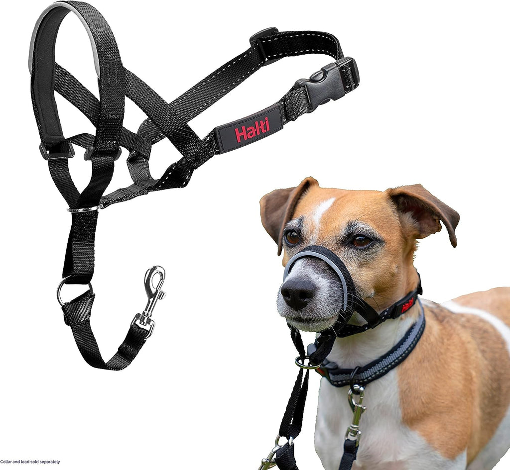 HALTI Headcollar, UK Bestselling Harness to Stop | PetNestUK
