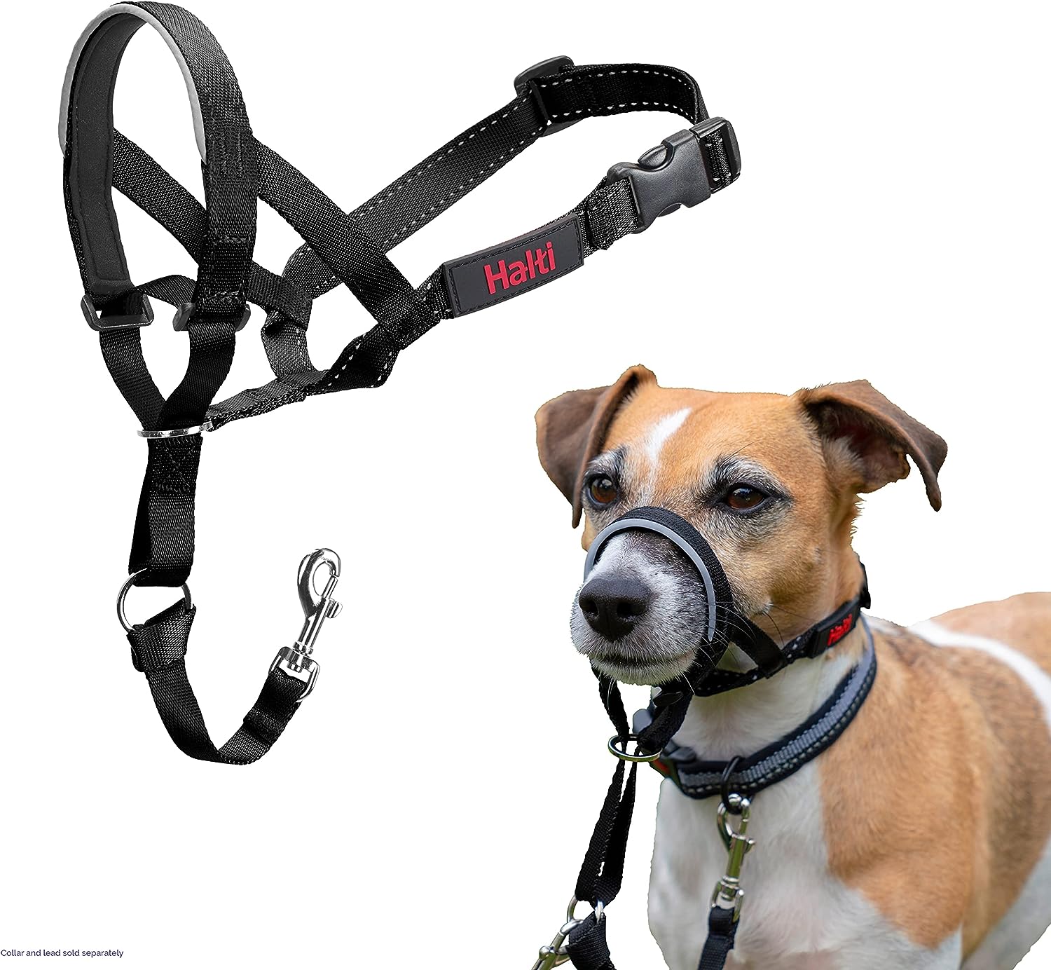 HALTI Headcollar, UK Bestselling Harness to Stop | PetNestUK