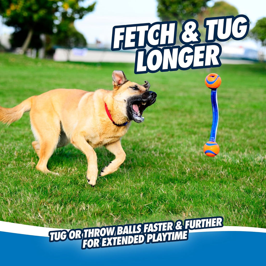 Chuckit! Ultra Tug Dog Toy