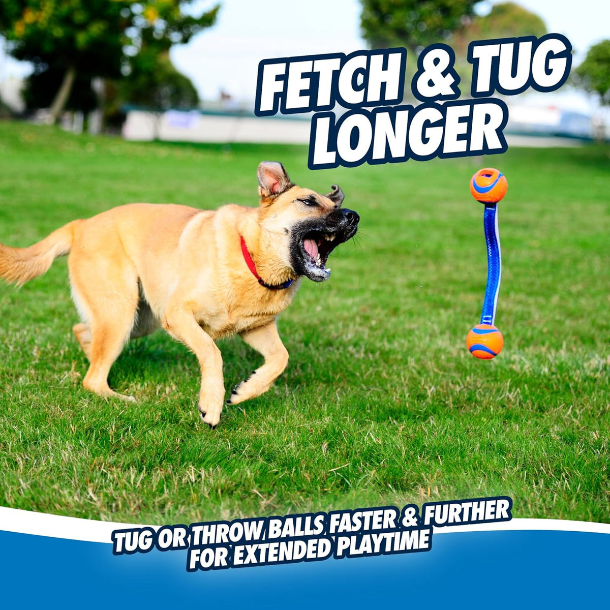 Chuckit! Ultra Tug Dog Toy