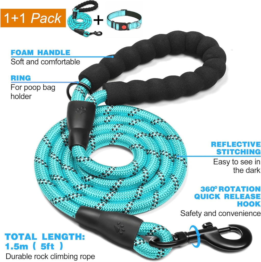 haapaw Reflective Dog Collar Padded with Soft | PetNestUK