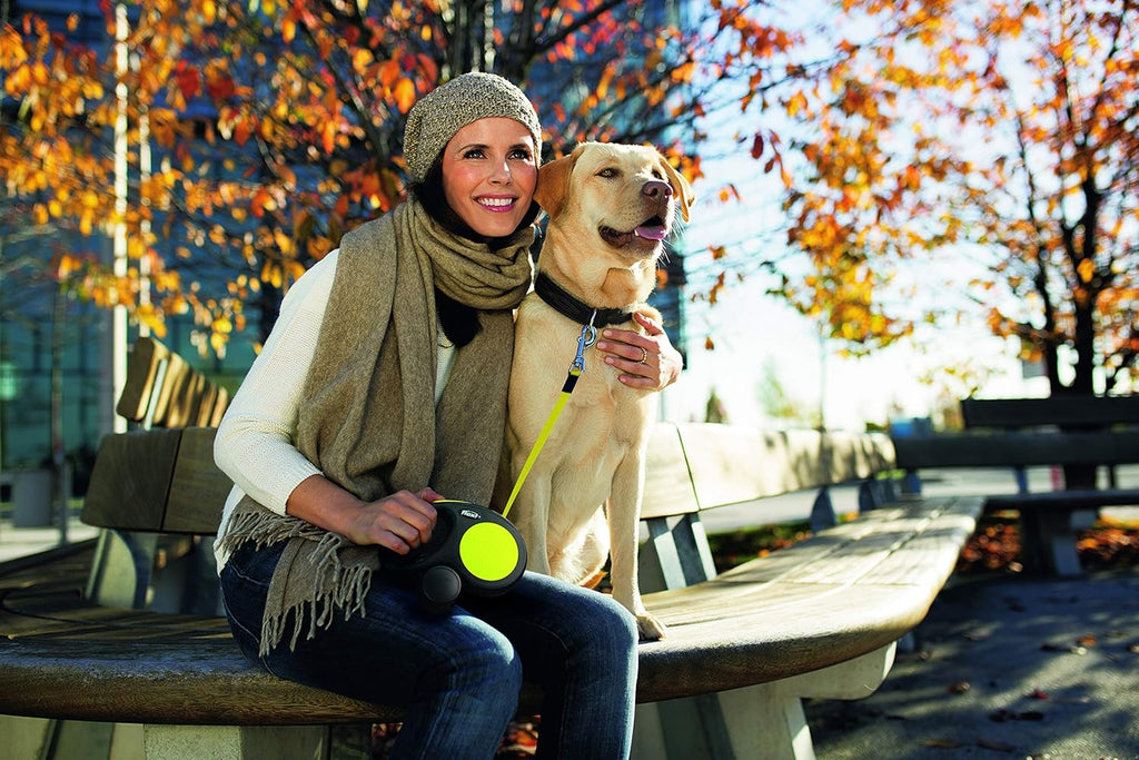 flexi New Classic Retractable Tape Dog Lead