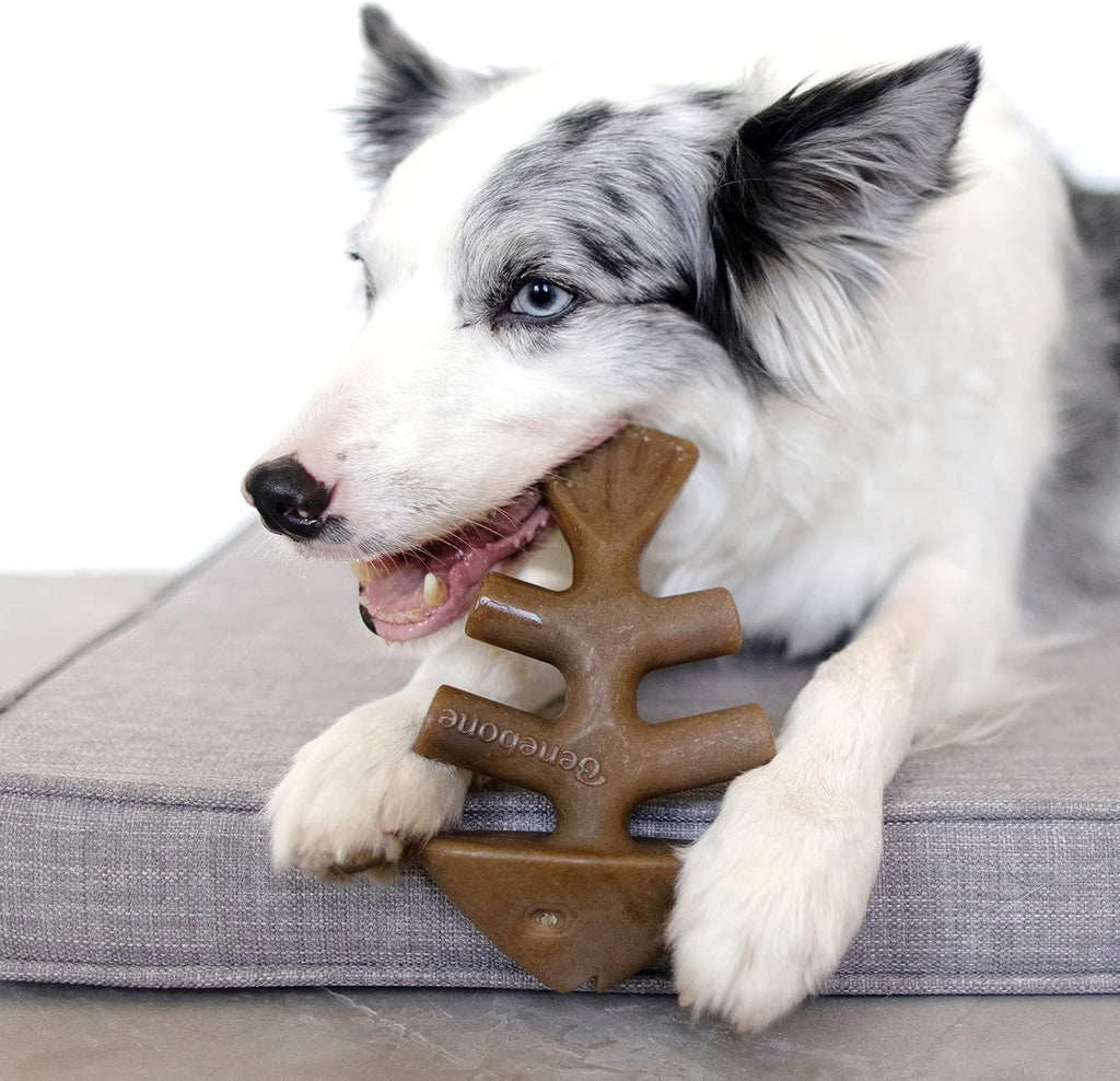 Benebone Dog Chew Toy Multipacks