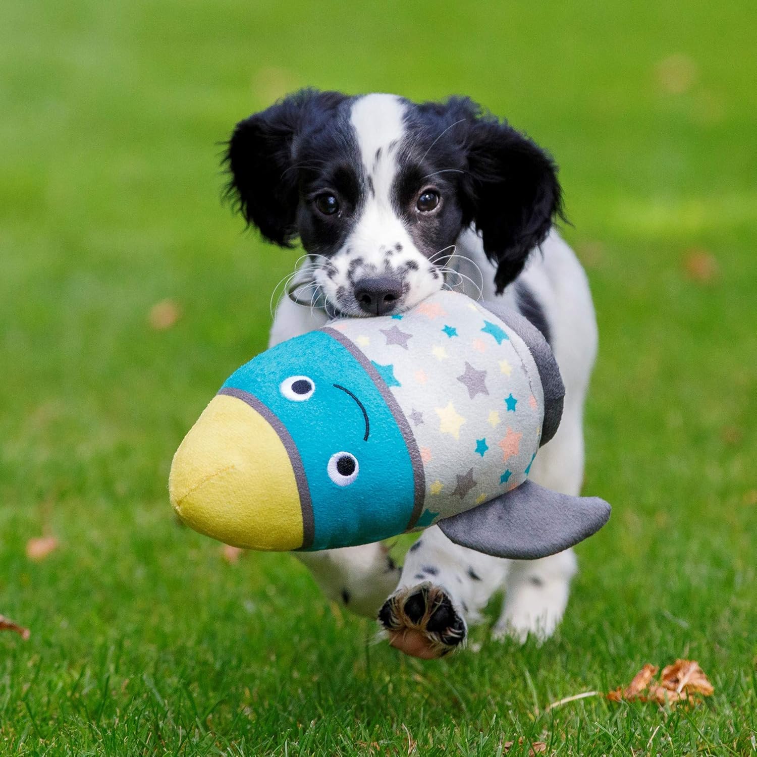 Petface (Little Petface) Freddi Cord, Plush | PetNestUK