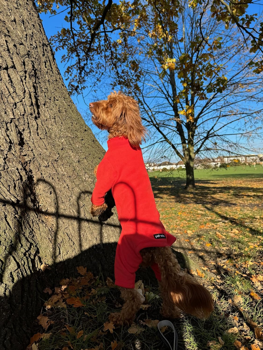 Warm Four-Legged Dog Fleece | PetNestUK