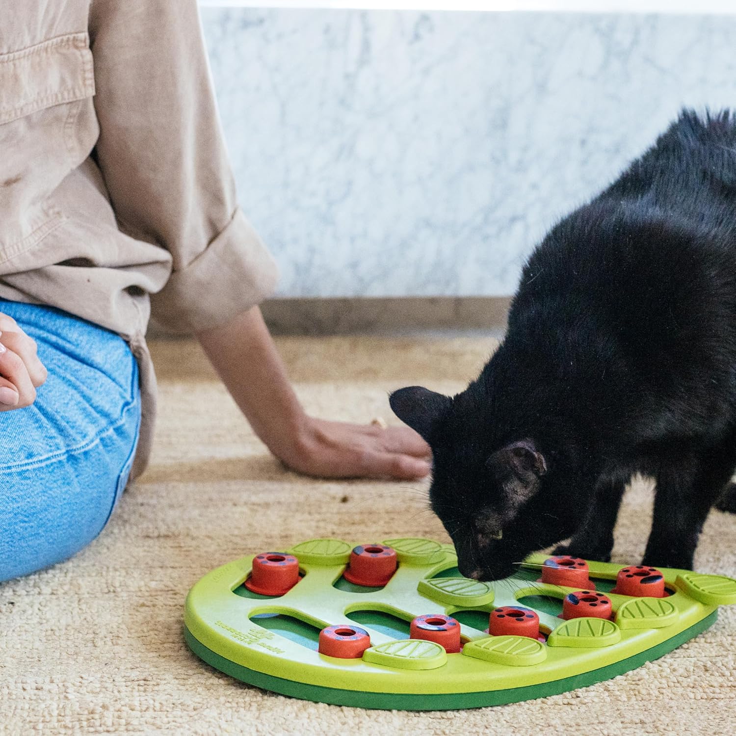 Nina Ottosson by Catstages Buggin' Out Puzzle & | PetNestUK