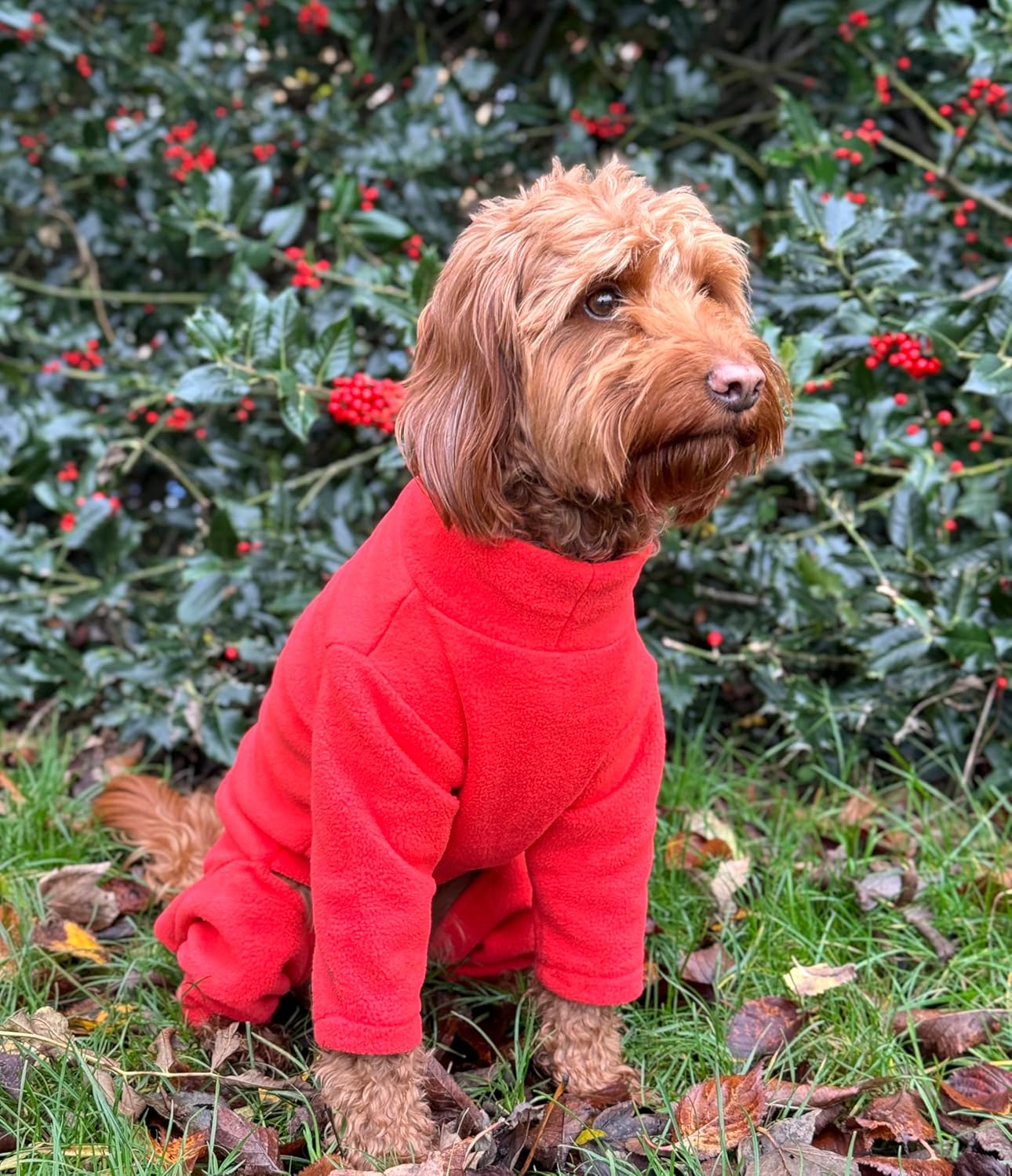 Warm Four-Legged Dog Fleece | PetNestUK