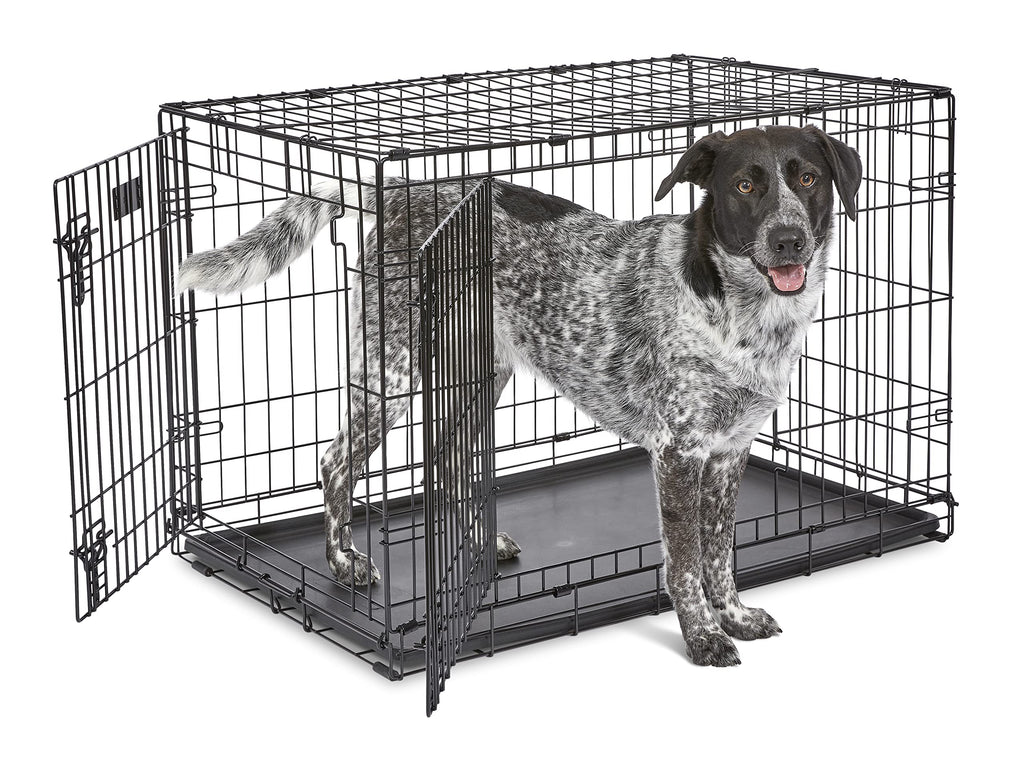 MidWest Homes Pets Newly Enhanced Door iCrate | PetNestUK
