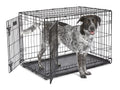 MidWest Homes Pets Newly Enhanced Door iCrate | PetNestUK