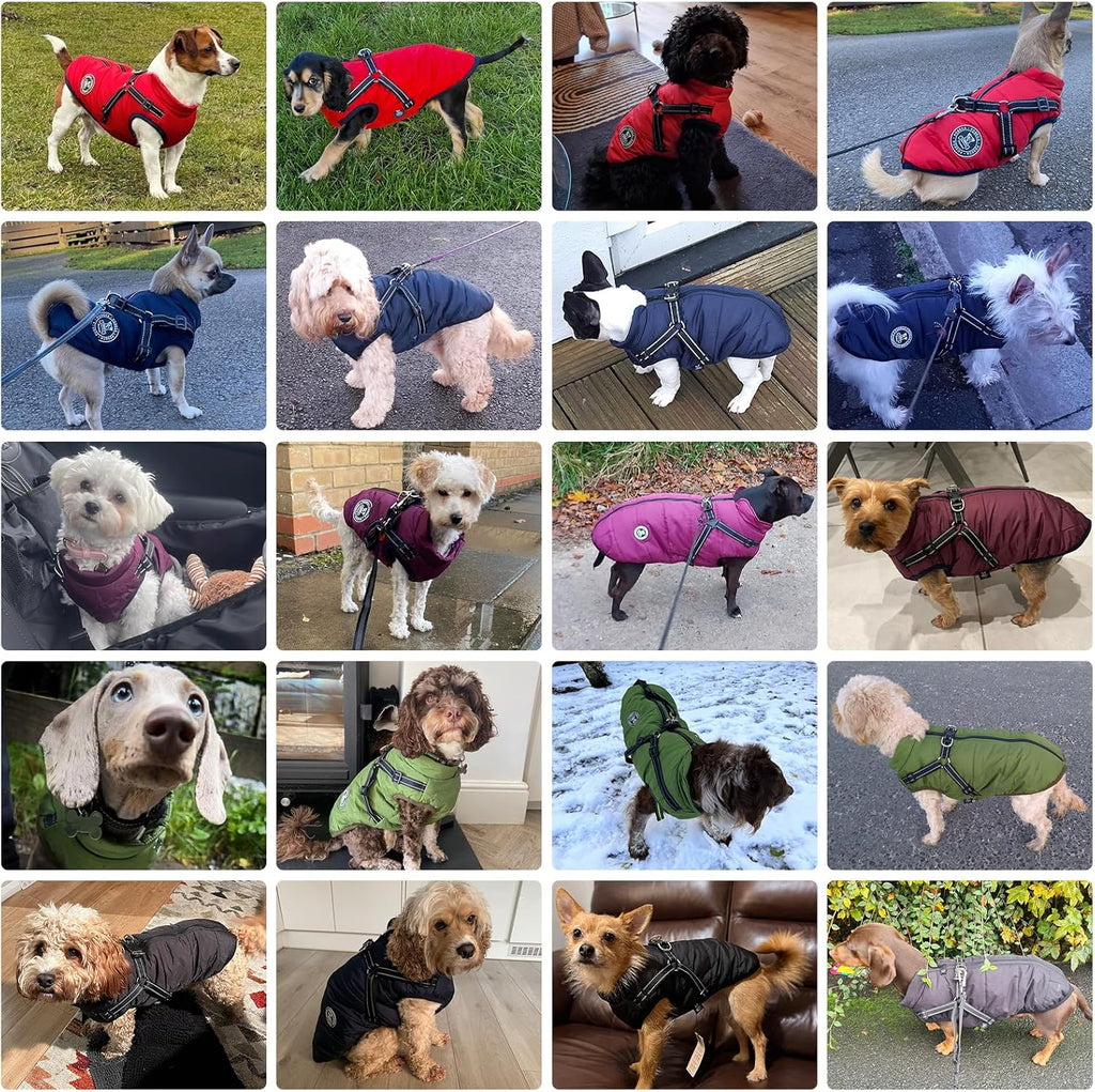 Poseca Dog Clothes for Small Dogs Dog Coat | PetNestUK