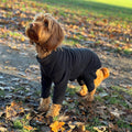 Warm Four-Legged Dog Fleece | PetNestUK