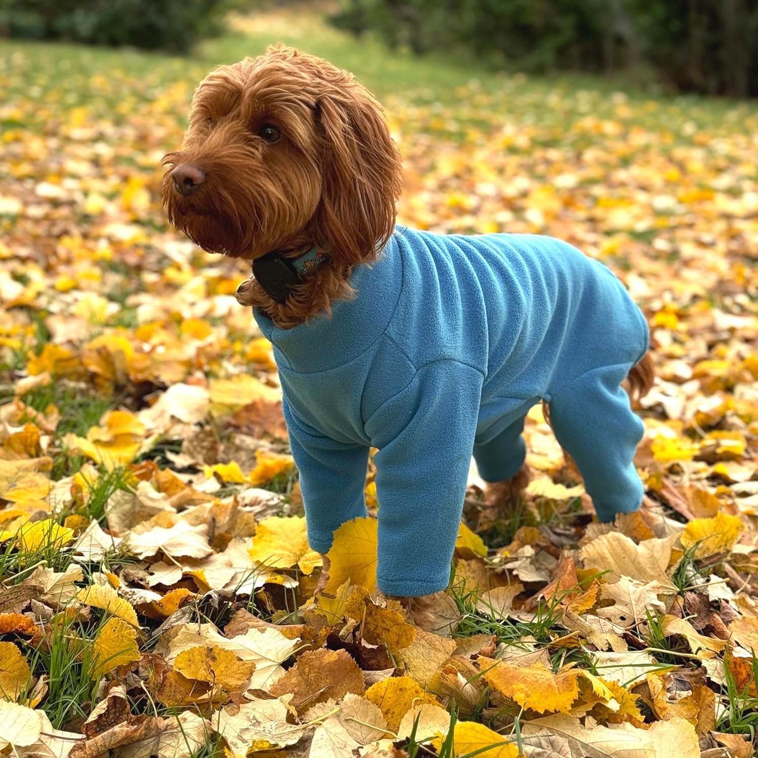 Warm Four-Legged Dog Fleece | PetNestUK