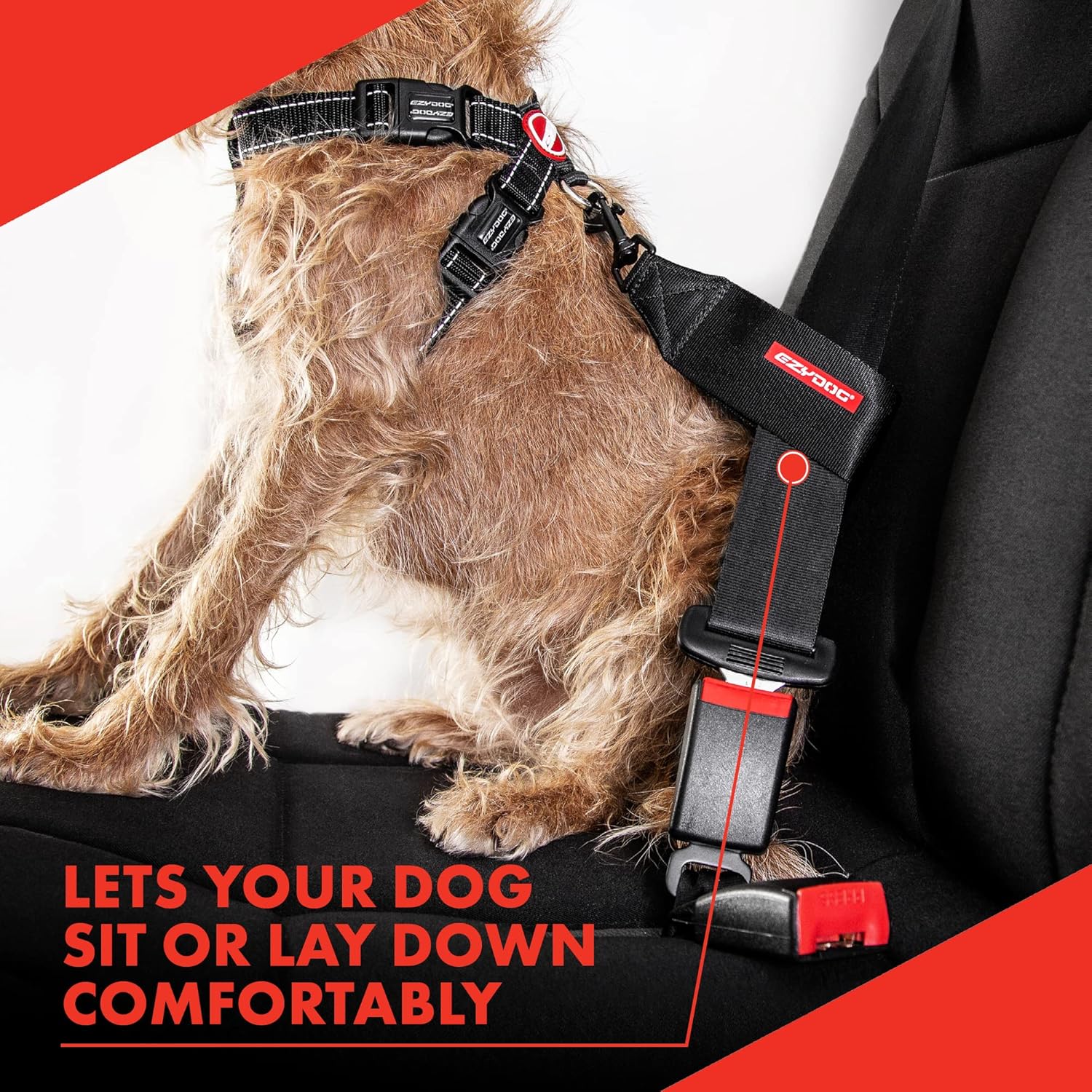 EZYDOG Dog Seat Belt Car Attachment | PetNestUK
