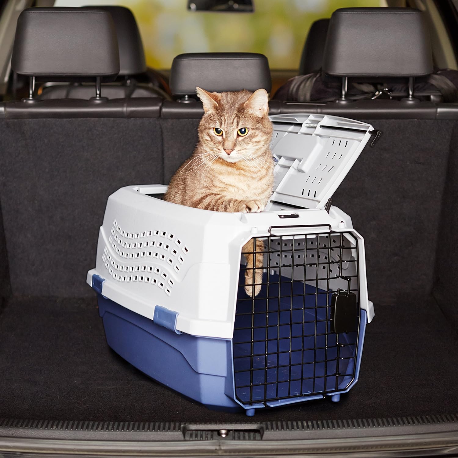 PetNestUK Basics Hard-Sided Cat Carrier, Two-Door | PetNestUK