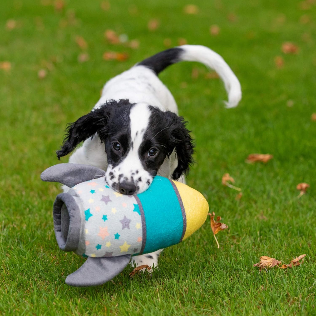 Little Petface Plush Puppy Toys