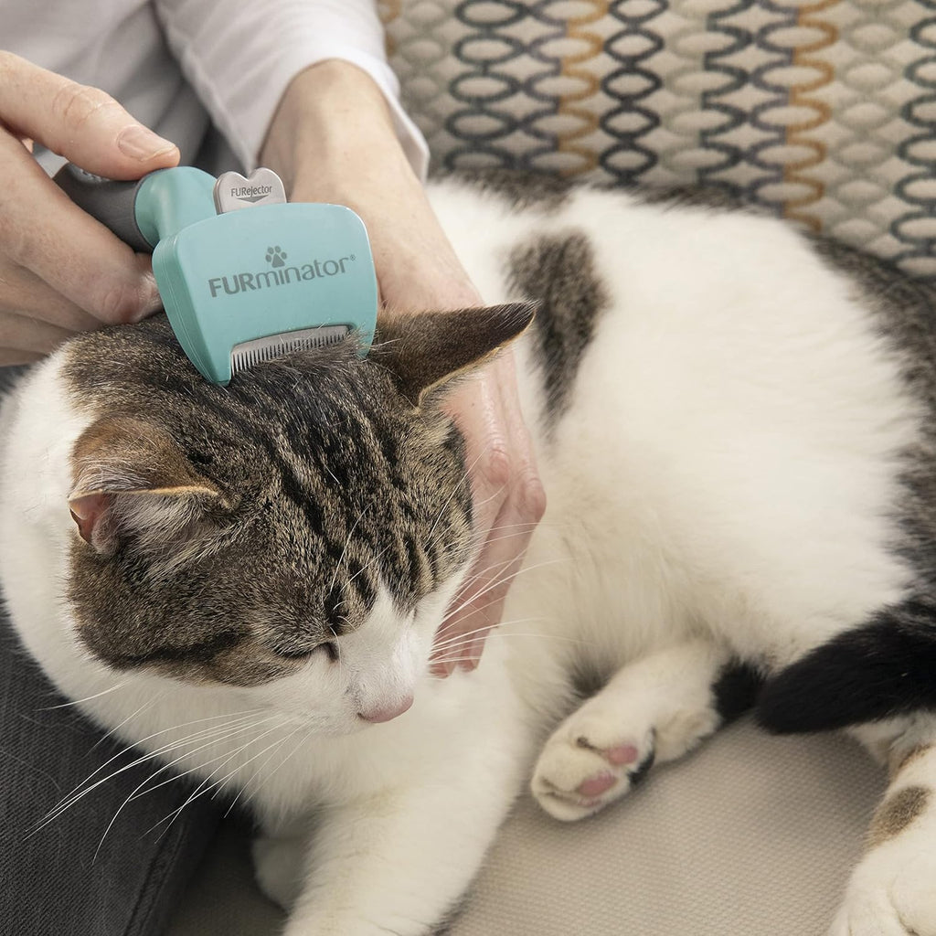 FURminator Undercoat deShedding Tool for Small | PetNestUK
