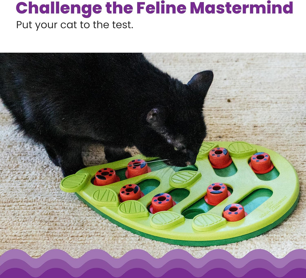 Nina Ottosson by Catstages Buggin' Out Puzzle & | PetNestUK